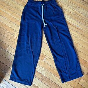 LOFT Dark Blue Casual Pants